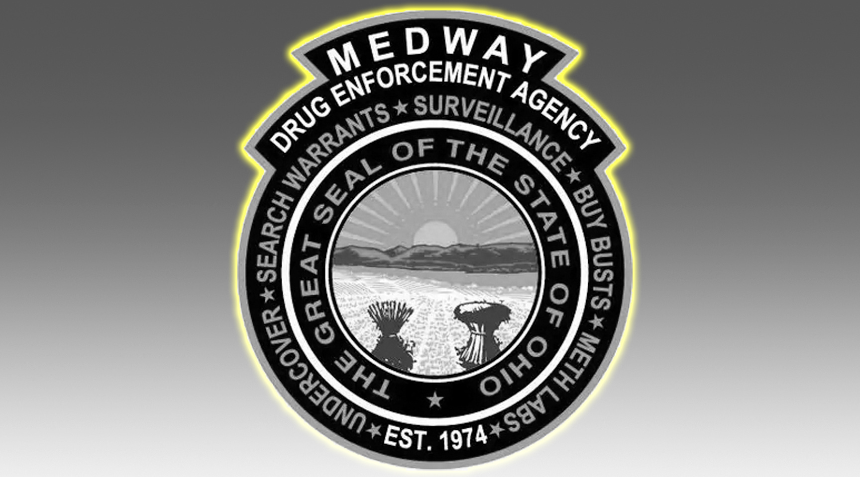 MEDWAY Drug Enforcement Agency Logo